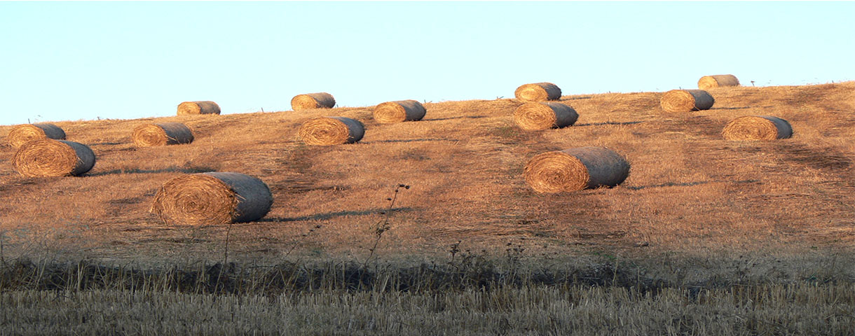 Rotoballe