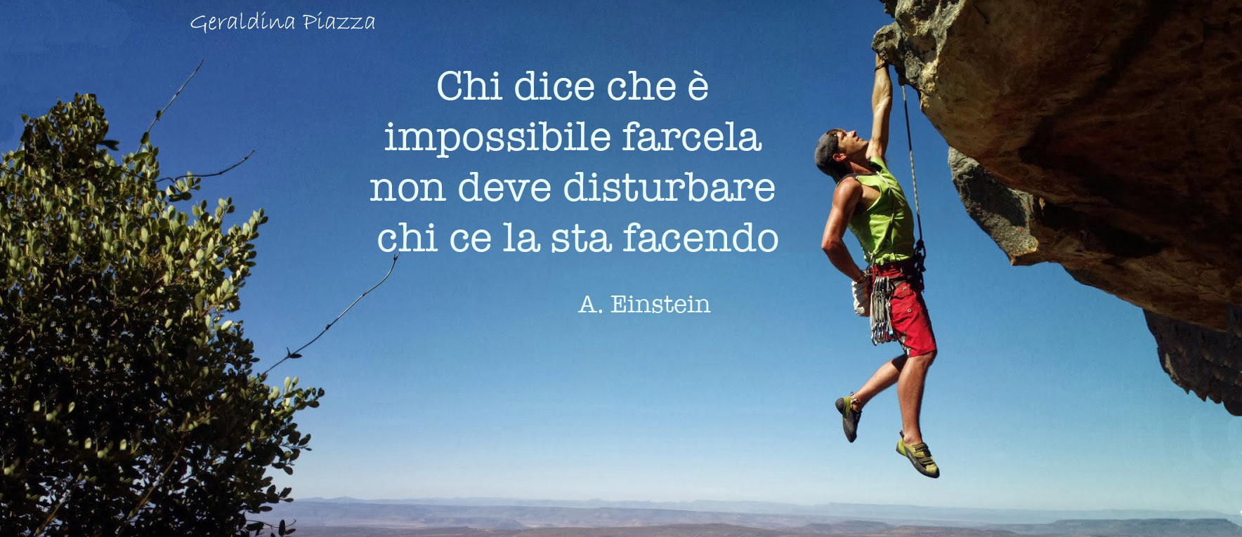 Perle di saggezza…