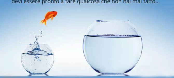 Perle di saggezza…