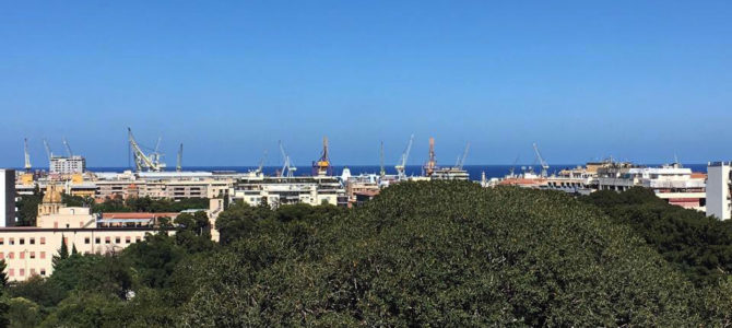 La chiocciola